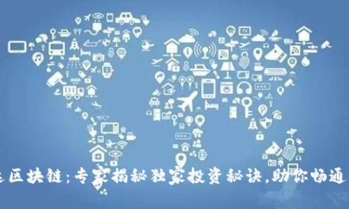 币达区块链：专家揭秘独家投资秘诀，助你畅通无阻
