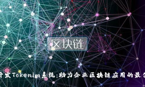 定制开发Tokenim系统：助力企业区块链应用的最佳选择