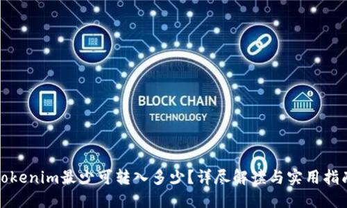 Tokenim最少可转入多少？详尽解读与实用指南