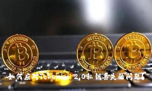 如何应对Tokenim 2.0私钥丢失的问题？