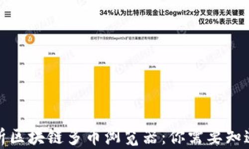 
全面解析区块链多币浏览器：你需要知道的一切
