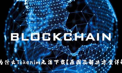 为什么Tokenim无法下载？原因及解决方案详解