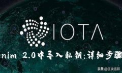 如何在Tokenim 2.0中导入私钥：详细步骤与注意事项