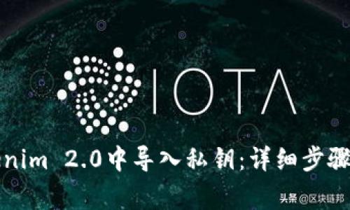 如何在Tokenim 2.0中导入私钥：详细步骤与注意事项