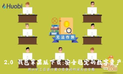 Tokenim 2.0 钱包苹果版下载：安全稳定的数字资产管理工具