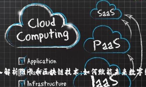 深入解析维卡币区块链技术：如何赋能未来数字经济