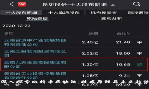 深入探索比特币区块链：技术原理与未来趋势