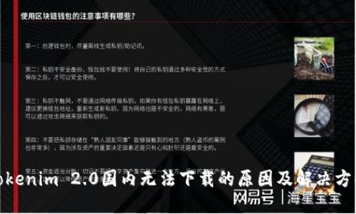 Tokenim 2.0国内无法下载的原因及解决方案