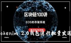 如何使用Tokenim 2.0钱包进行批量发送：全面指南