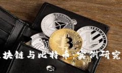全面解析区块链与比特币：实例研究与深度分析