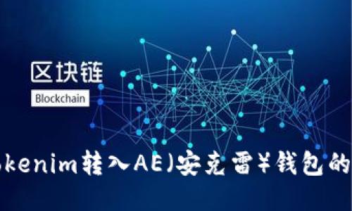如何将Tokenim转入AE（安克雷）钱包的详细指南