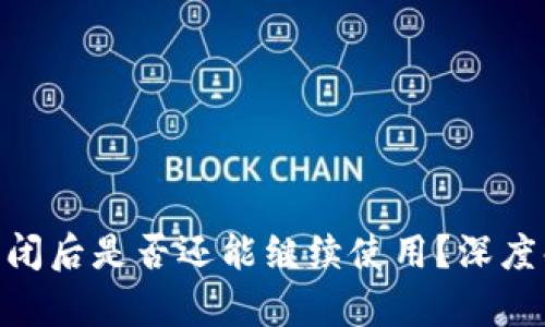 Tokenim 2.0倒闭后是否还能继续使用？深度解析与替代方案