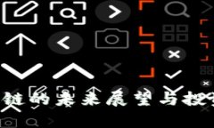 Dot币区块链的未来展望与投资潜力分析