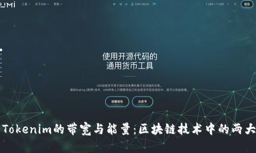 深入了解Tokenim的带宽与能量：区块链技术中的两大核心要素