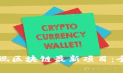 如何发现区块链最新项目：全面指南