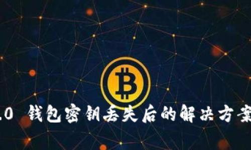 Tokenim 2.0 钱包密钥丢失后的解决方案及注意事项