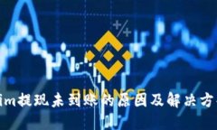 Tokenim提现未到账的原因及解决方案详解