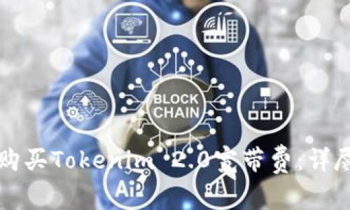 如何购买Tokenim 2.0宽带费：详尽指南
