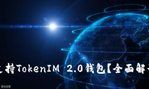 苹果如何支持TokenIM 2.0钱包？全面解读及其影响
