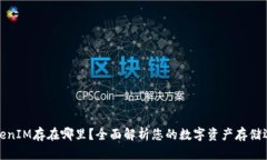 TokenIM存在哪里？全面解析您的数字资产存储选择