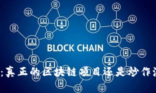 派币：真正的区块链项目还是炒作泡沫？