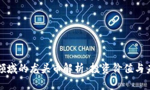 区块链领域的龙头币解析：投资价值与未来趋势