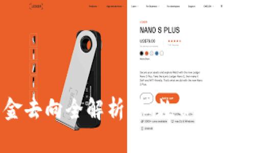 区块链币资金去向全解析：细数资金流动的影响因素