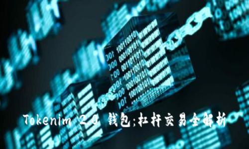 Tokenim 2.0 钱包：杠杆交易全解析