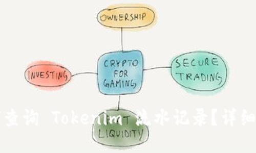如何查询 Tokenim 流水记录？详细指南